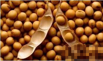 大米价格表一览 201706300836491718.jpg